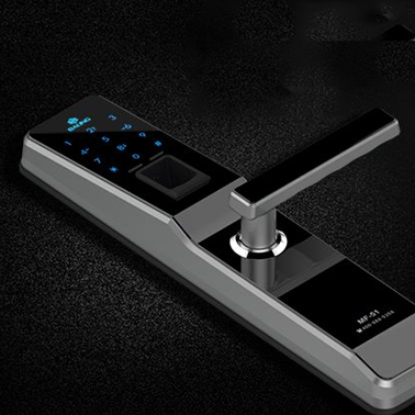 豪宅别墅掌静脉识别锁高端安防部署案例